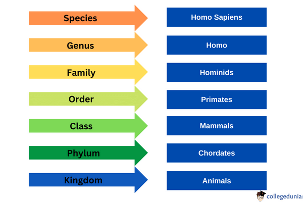 Binomial Nomenclature
