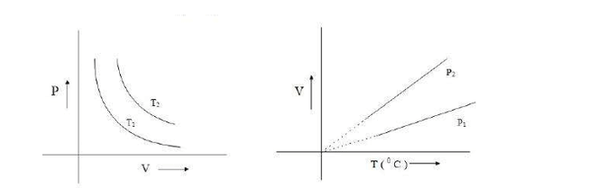 correct option regarding T1,T2,P1,P2