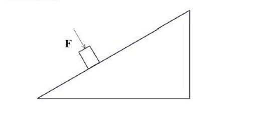 box of mass 2 kg is placed on a inclined plane that makes 30◦