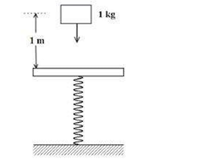 A mass of 1 kg falls from a height of 1 m