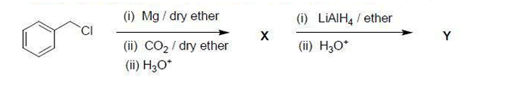 major product (Y) from the following reaction