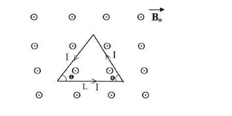  isosceles triangular current-carrying loop