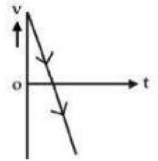 velocity v - time t graph