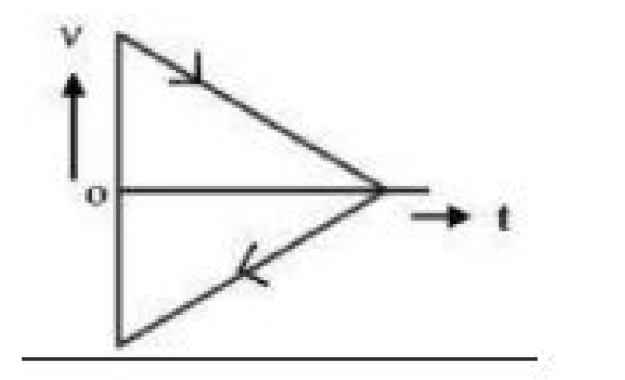 velocity v - time t graph