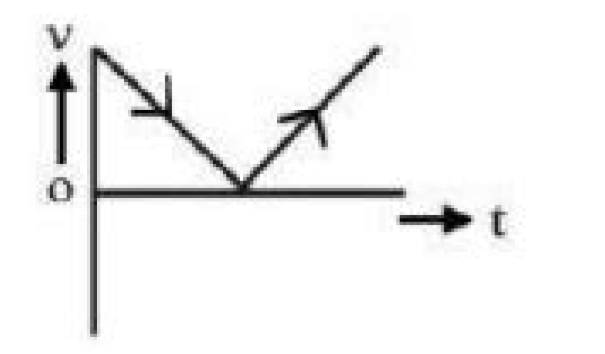 velocity v - time t graph