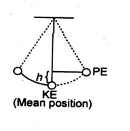 velocity of the bob of pendulum at its mean position