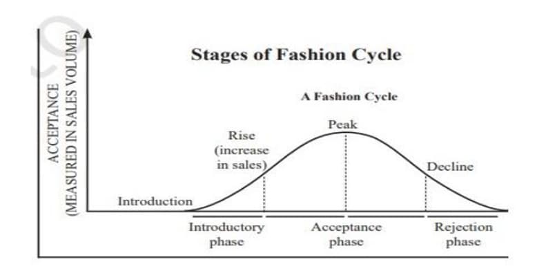 ‘Fashion Cycle