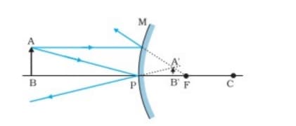 formation of the image