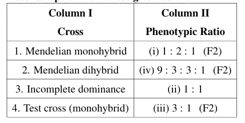 Cross Phenotypic Ratio