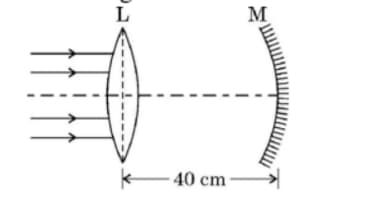 A thin convex lens