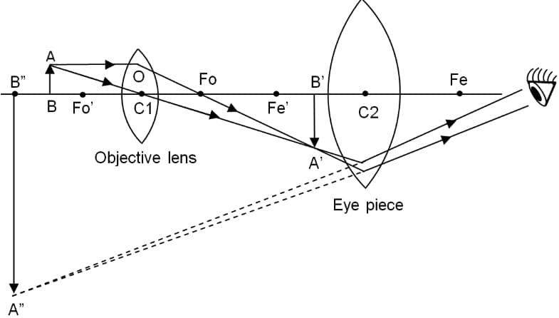 diagram of a compound microscope showing image formation