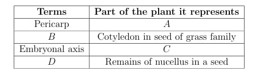  Identify A, B, C, and D in the table given below:
