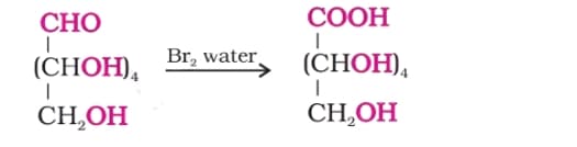 glucose is oxidized to gluconic acid