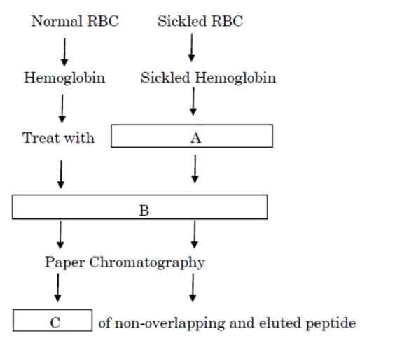 A researcher performed protein fingerprinting