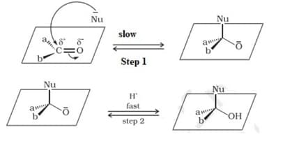 carbonyl addition product