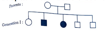 pedigree chart