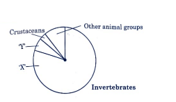 global biodiversity and proportionate number of species of major taxa