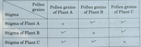 Flowering plants