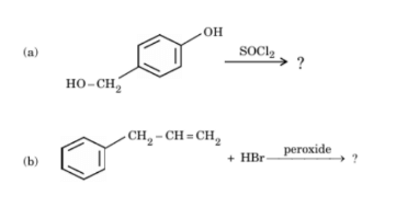 structures of the major monohalo products