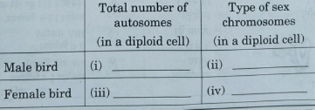 18 pairs of autosomal chromosomes 