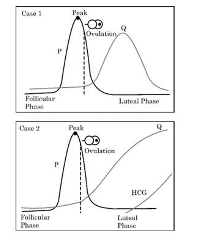 different levels of certain hormones