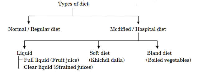 Draw a flow chart to show the types of diets along with the examples of each diet. 