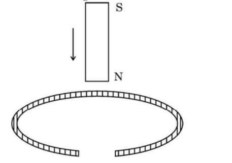 vertically held bar magnet is dropped along the axis of a copper ring