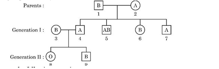 pedigree chart 