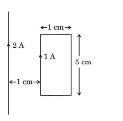 rectangular loop carries a current of 1 A.