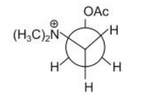  stable conformation of acetylcholine