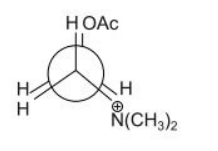  stable conformation of acetylcholine