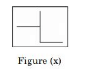 Figure (x)
