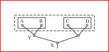 B X In the phylogeny depicted abov