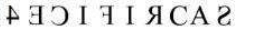 Alternative text