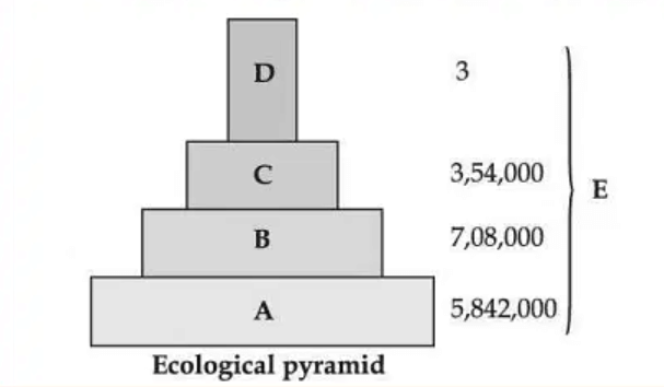 Observe the given figure and answer the question: