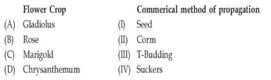Flower cup commercial method of propogation