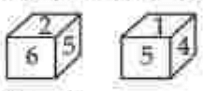 Two dices
