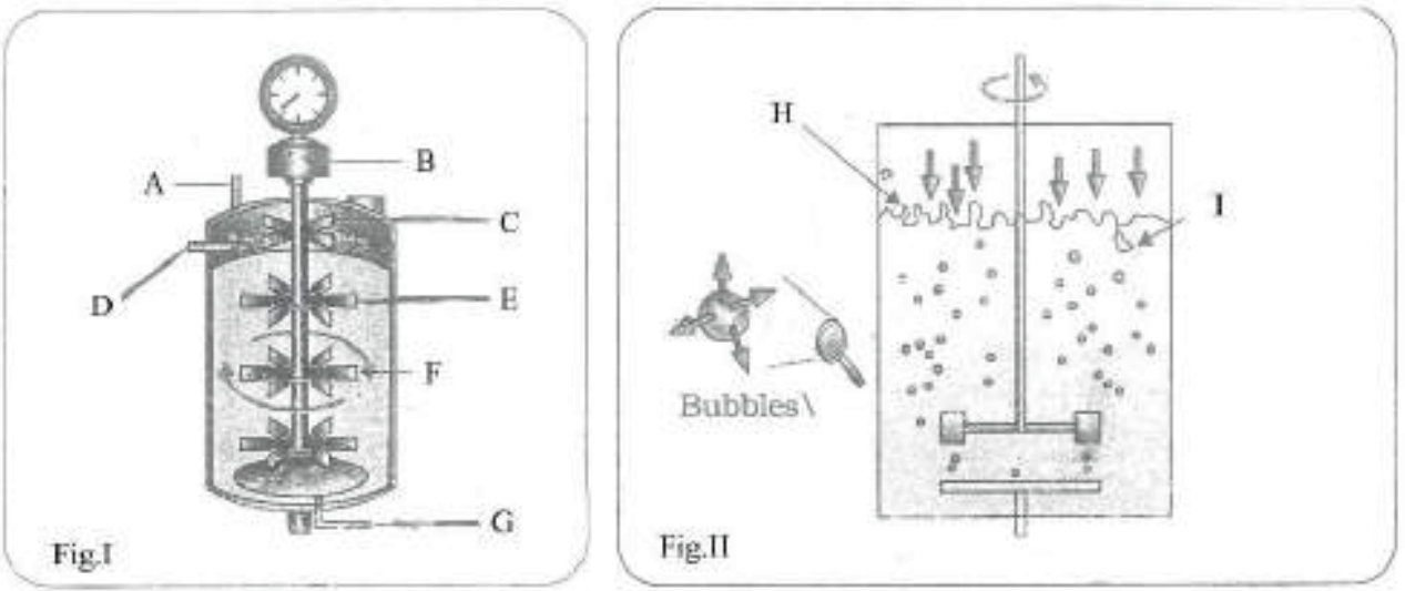 Diagram of questions with labels