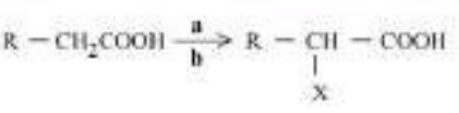 Chemical Reaction