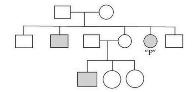 pedigree chart