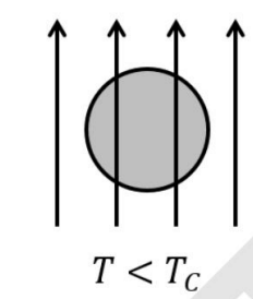 configuration of magnetic field lines