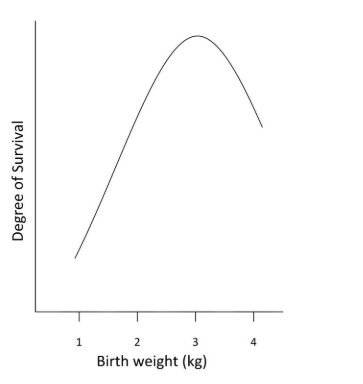 Graph showing the relationship between birth weight and degree of survival