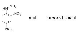 The reaction of 2,4-dinitrofluorobenzene with hydrazine produces a yellow orange solid X