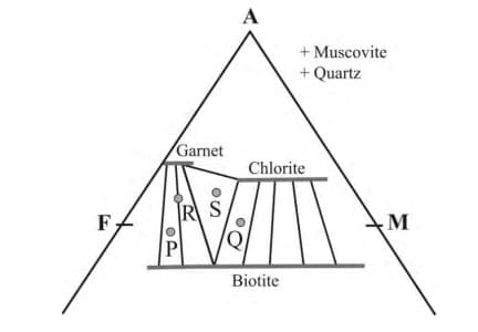 The AFM diagram given below shows stability of minerals 
