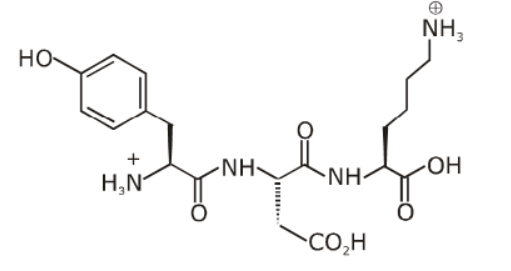structure of the peptide