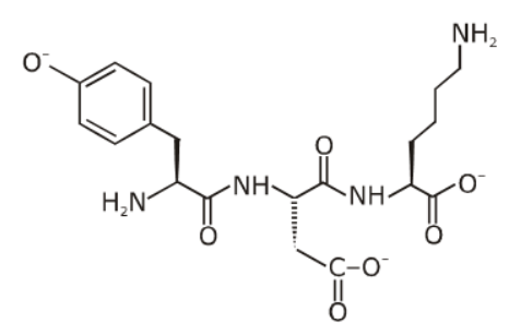 tripeptide exists in anionic form.