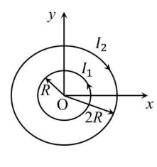 Two concentric circular loops