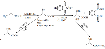 Treating P with conc. NH4OH solution followed by acidification gives Q. 