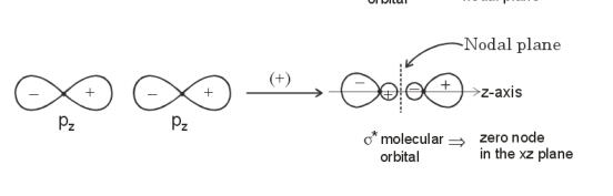 π orbital has one node 