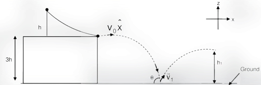 A ball is released on a smooth plane 